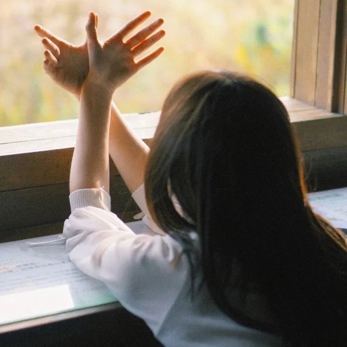 不期而遇的夏天