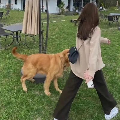橘祥如意